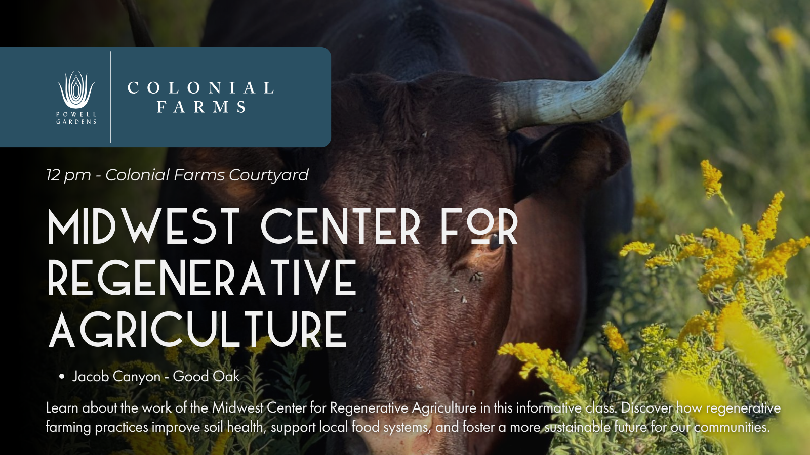 2-Mar-13-2026-04-32-02-2534-PM