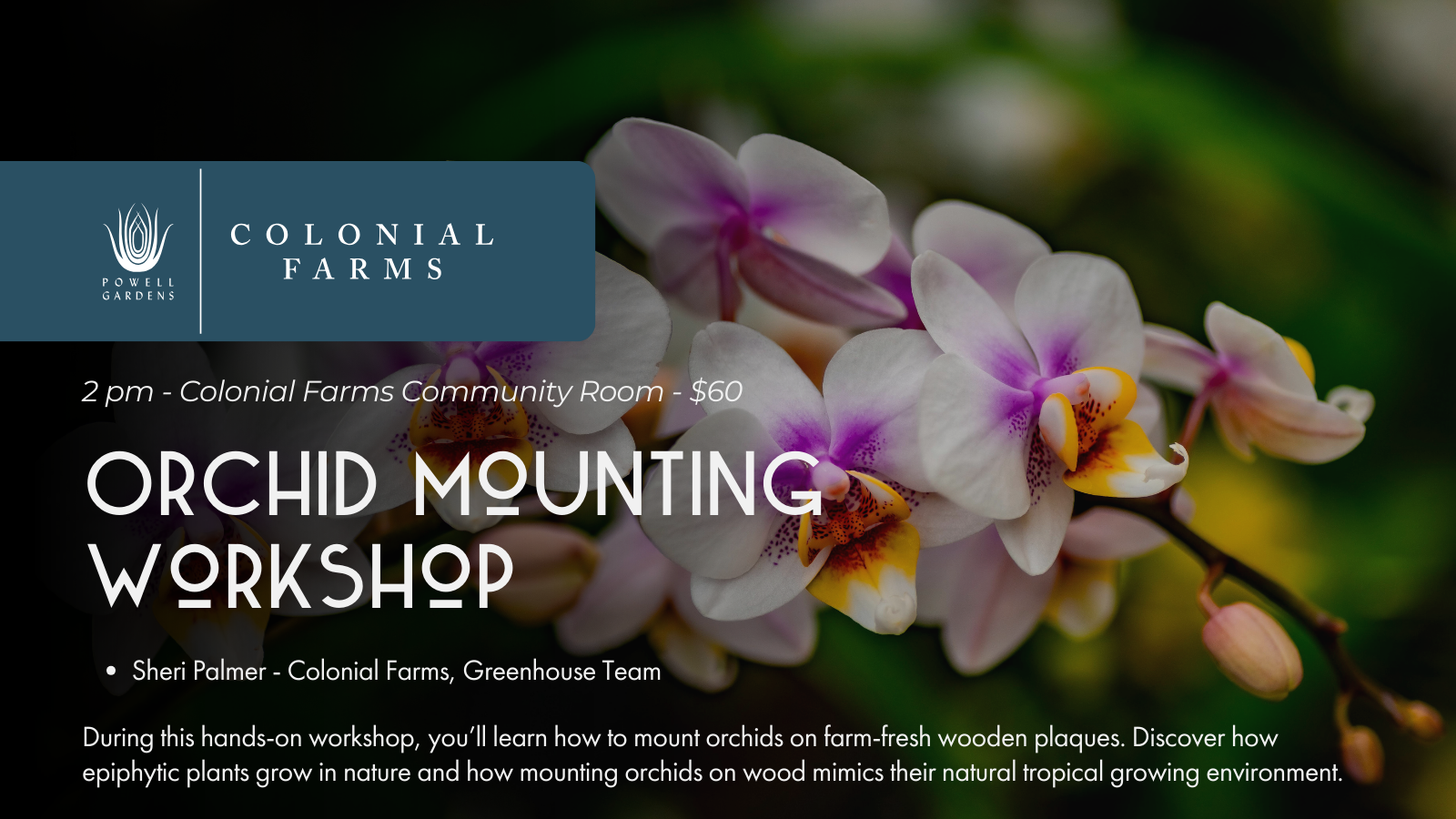 3-Mar-13-2026-04-32-08-9298-PM