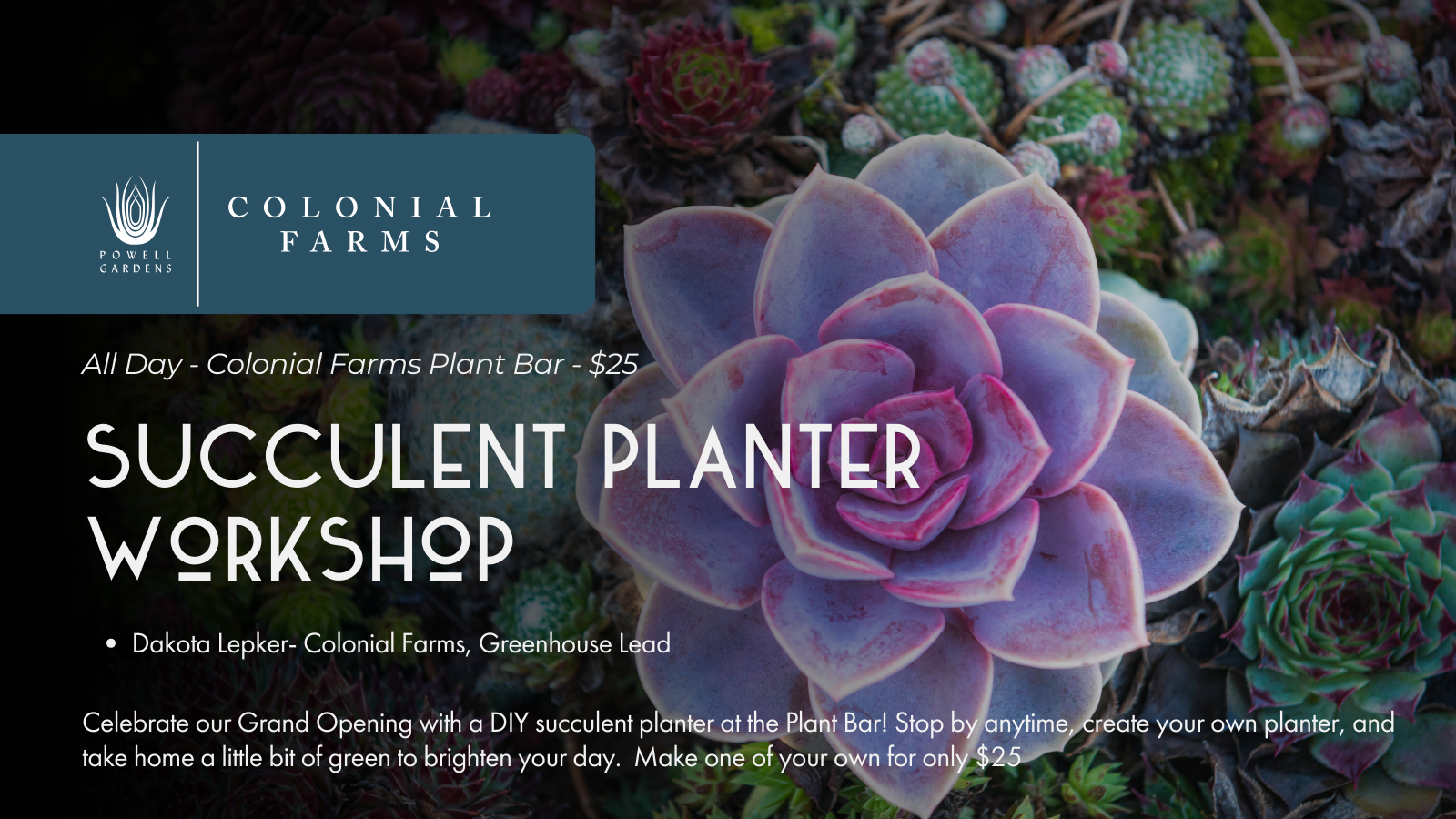 4-Mar-13-2026-04-32-16-0253-PM