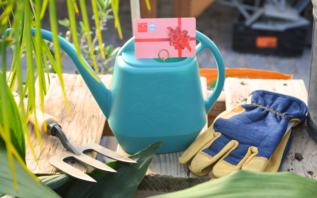 50% OFF ALL HOLIDAY DECOR! (20)