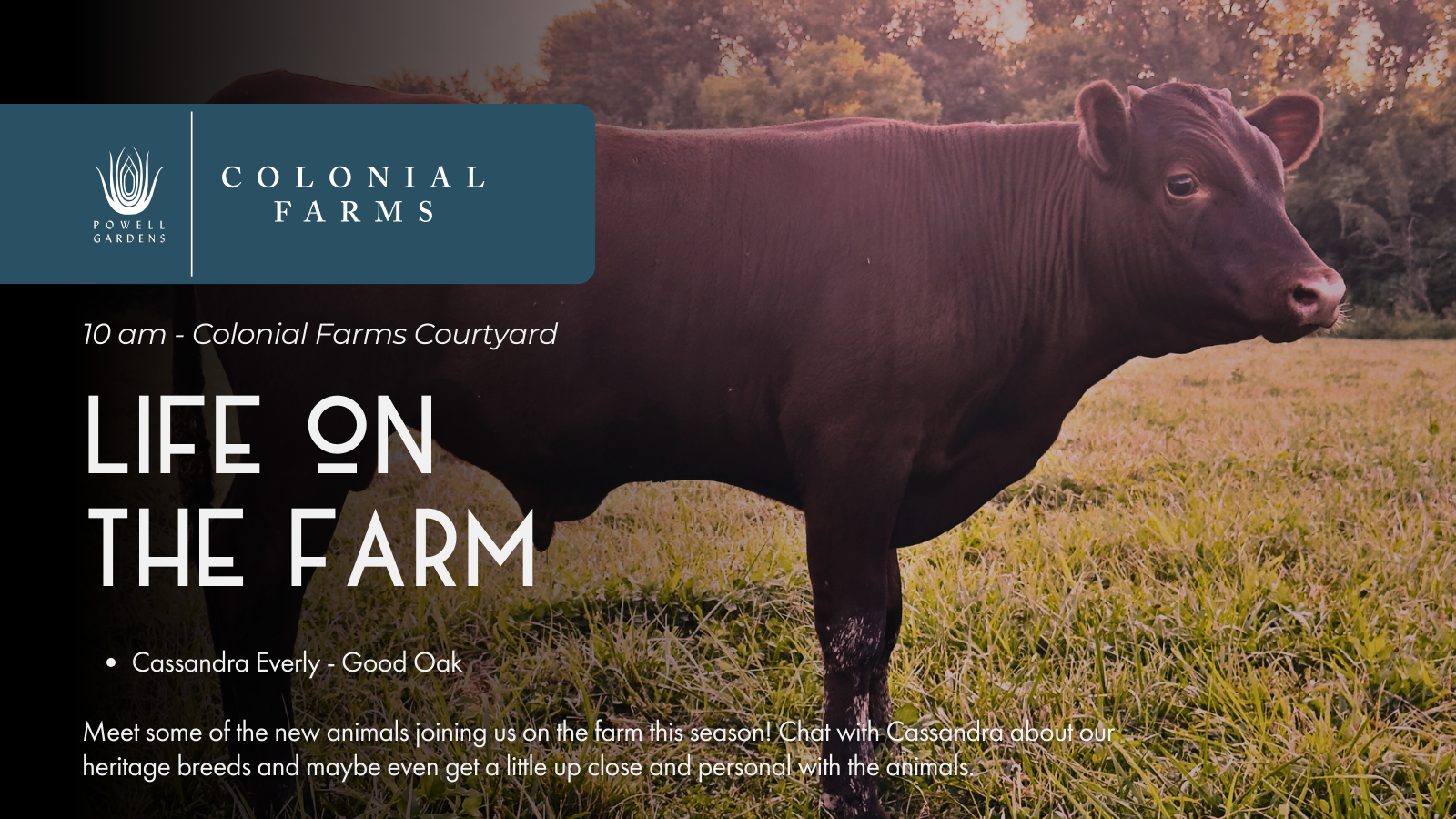 6-Mar-13-2026-04-32-30-3078-PM