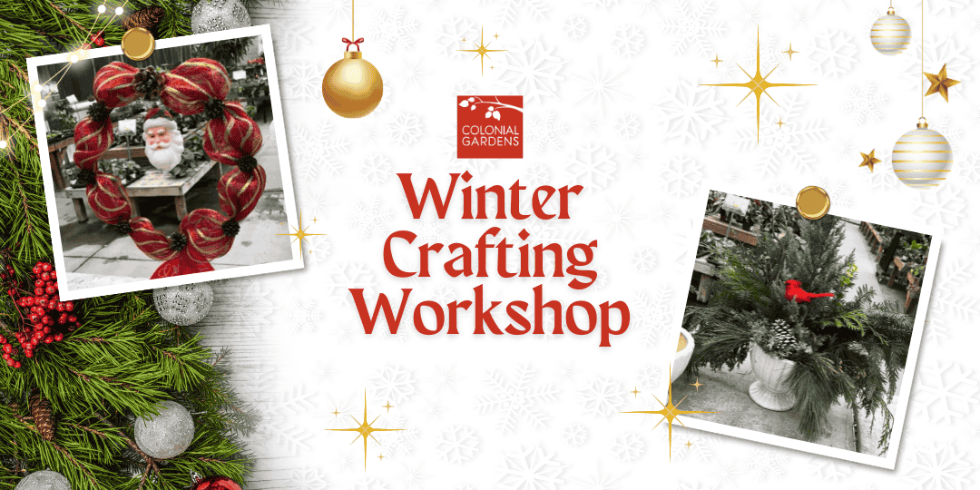 Eventbrite Cards Fall 2025 (7) (1)