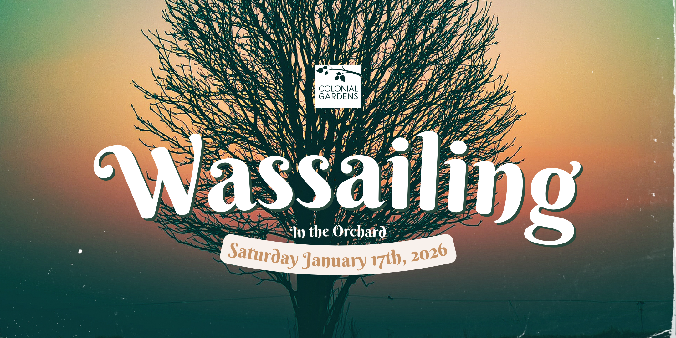 Wassailing in the Orchard