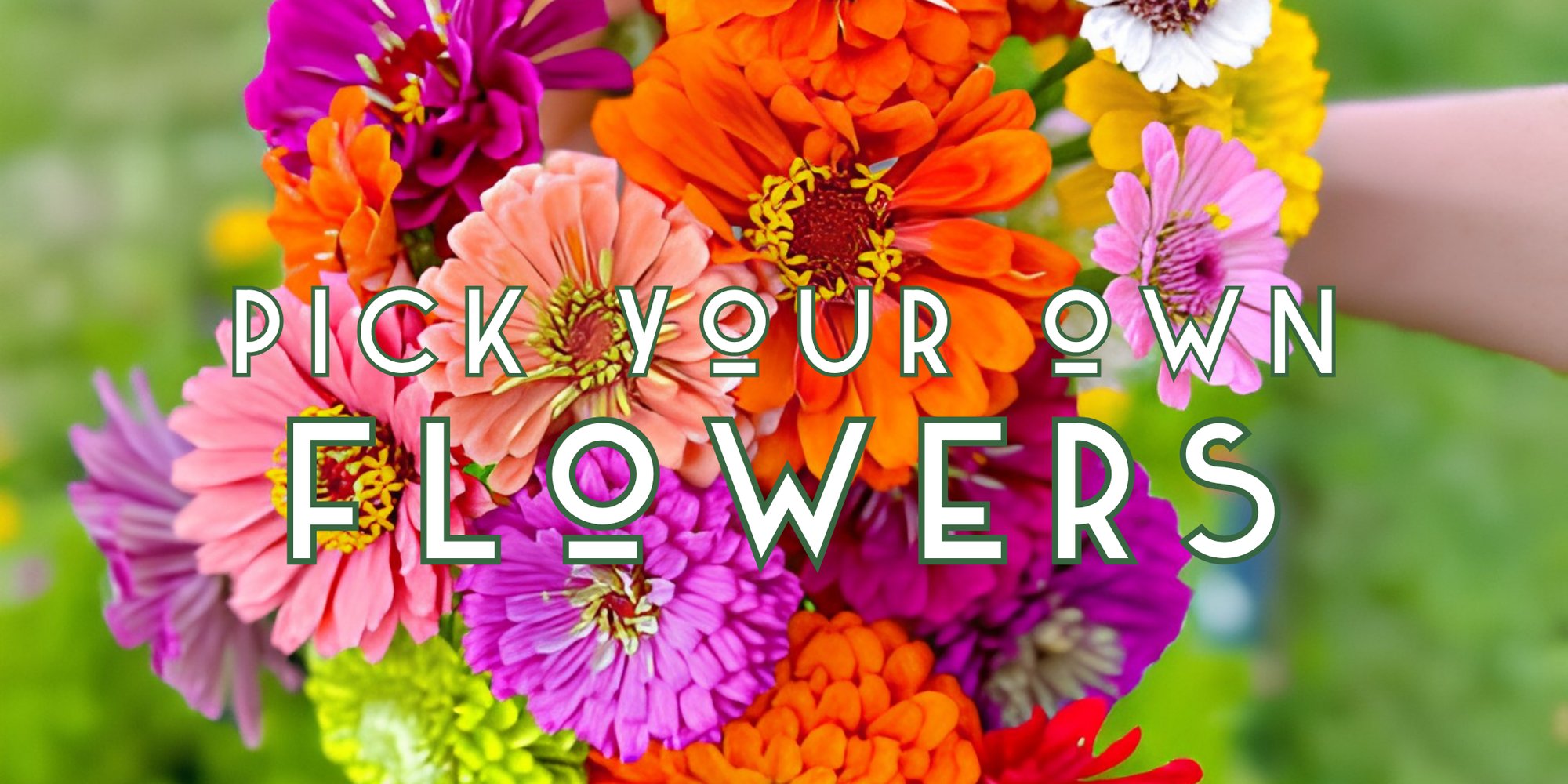 Flower Picking Card (1)
