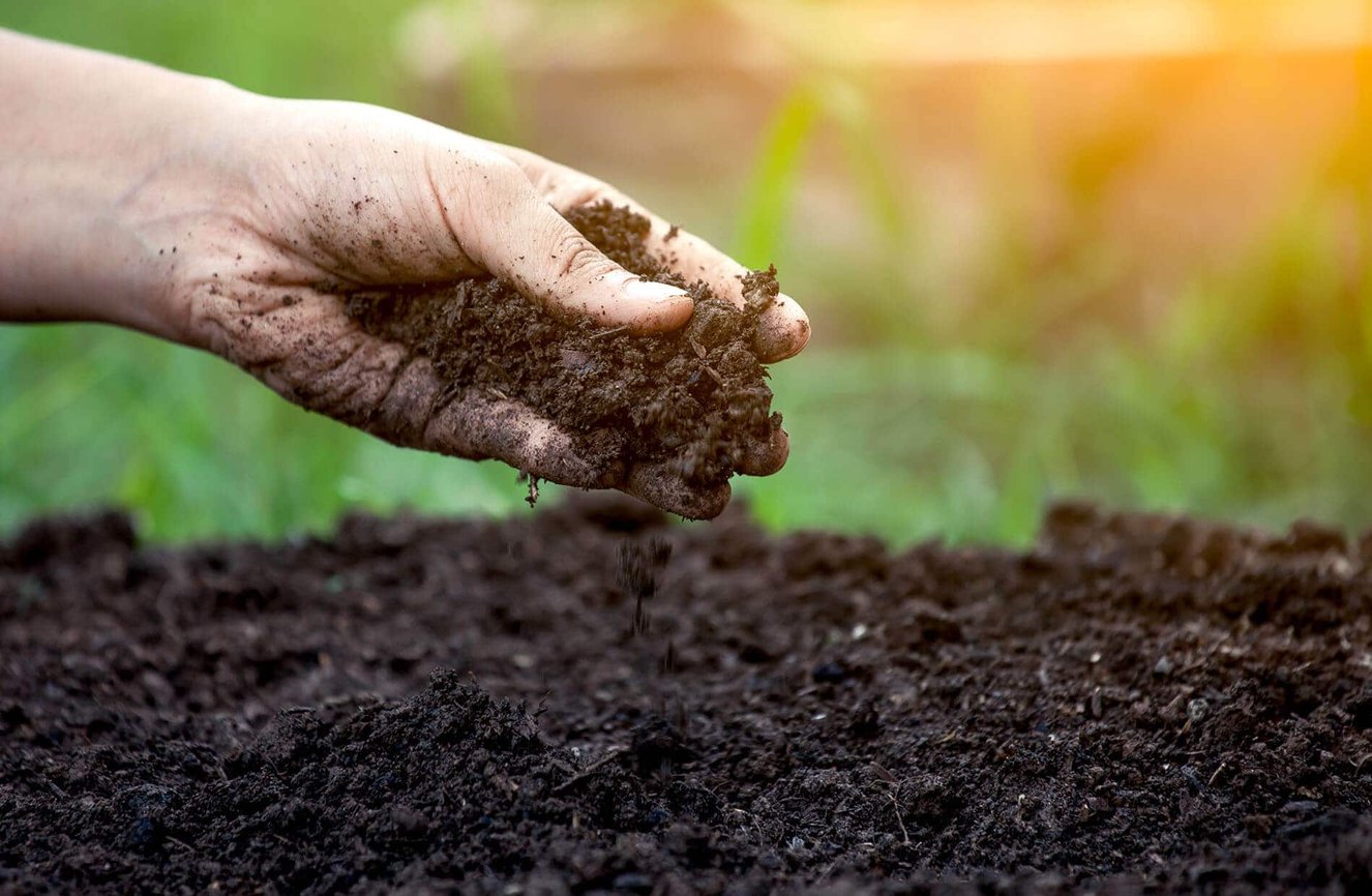 Content-Soil-in-hand