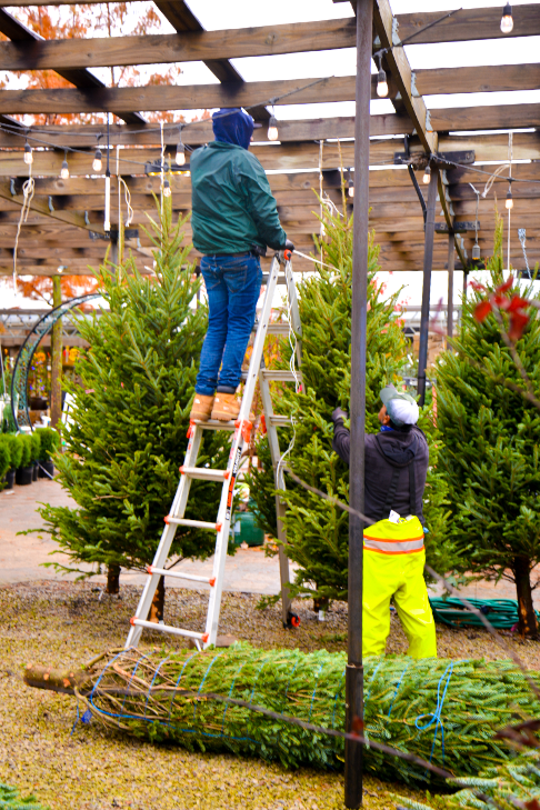 Screenshot 2025-10-25 121855