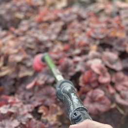 Screenshot_26-1-2026_174141_www.colonialgardenskc.com Screenshot_26-1-2026_174141_www.colonialgardenskc.com