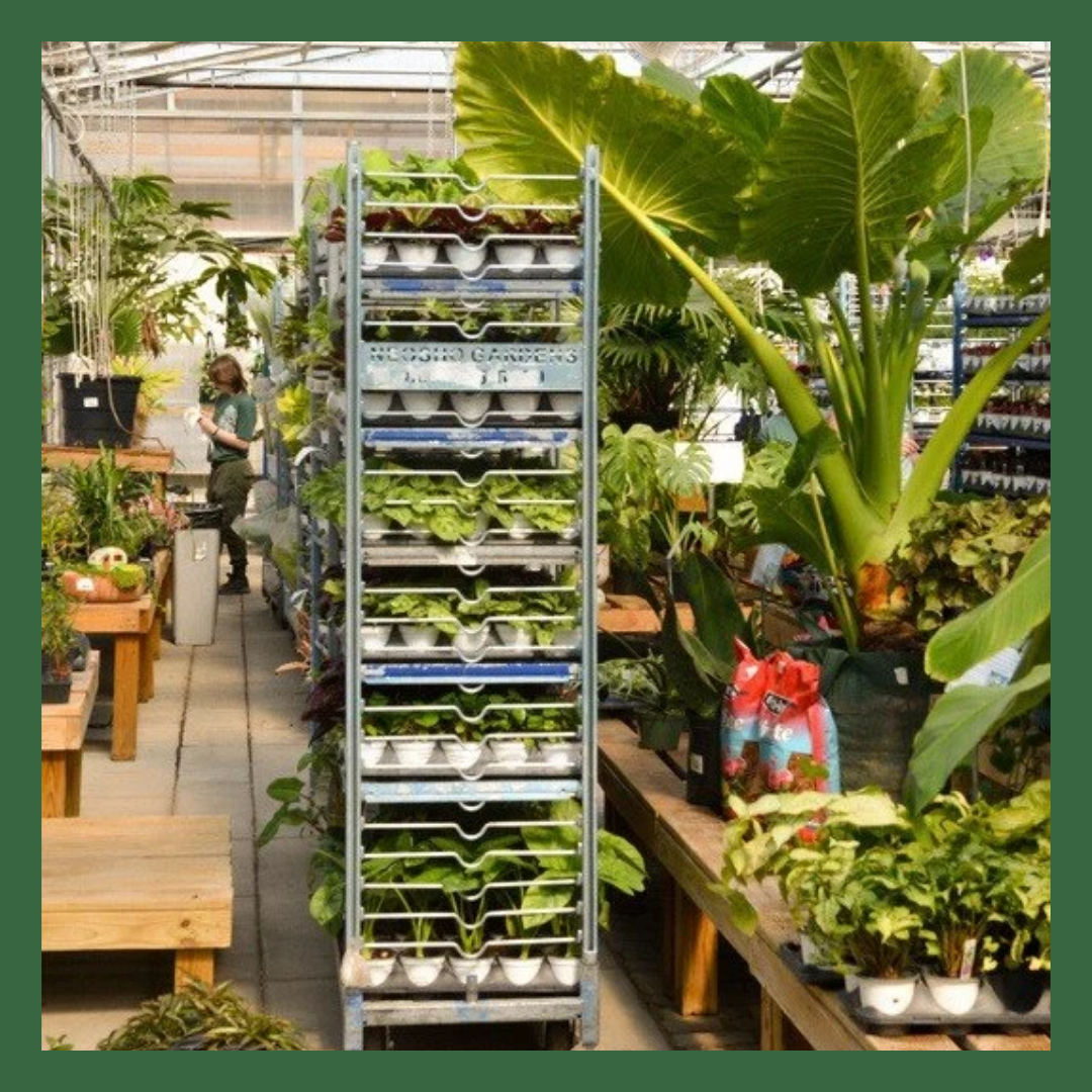 Visit Our Greenhouse