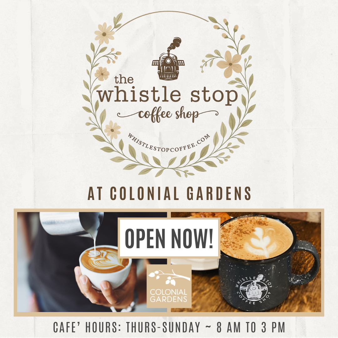 Whistle Stop Coming Soon ad (1)