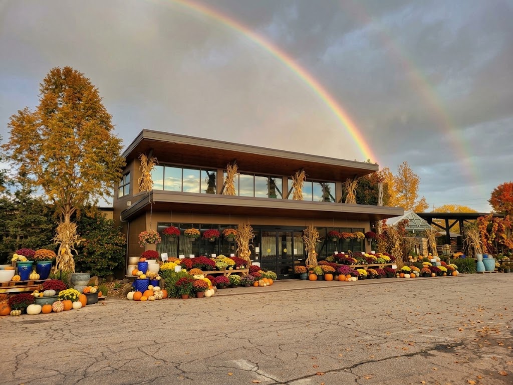 fall store front display