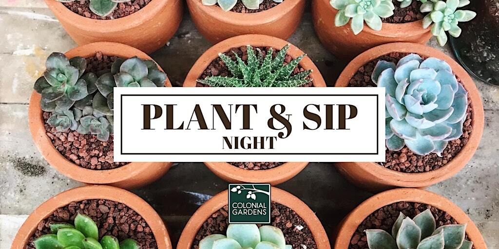 Plant and sip Plant and sip