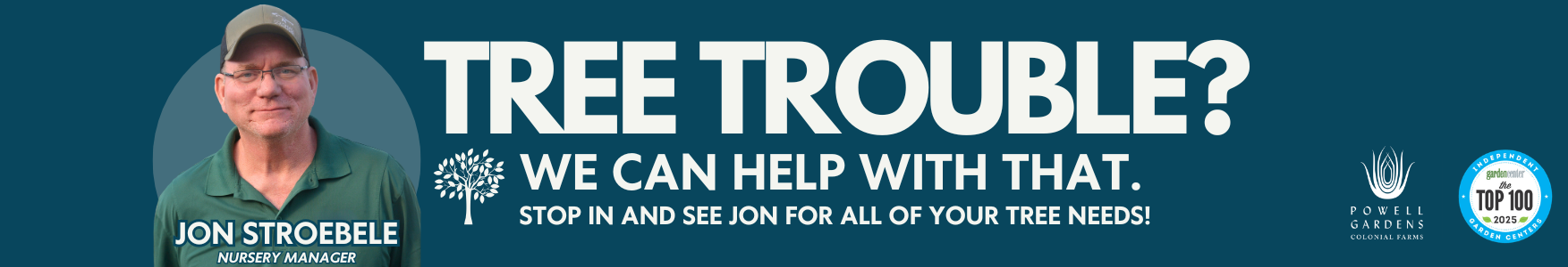 tree consultation jon (2)