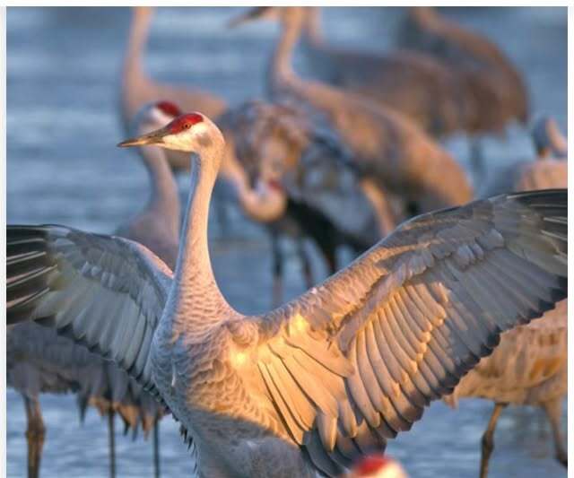 634850906_1339630354859917_3905827431262900929_n 634850906_1339630354859917_3905827431262900929_n