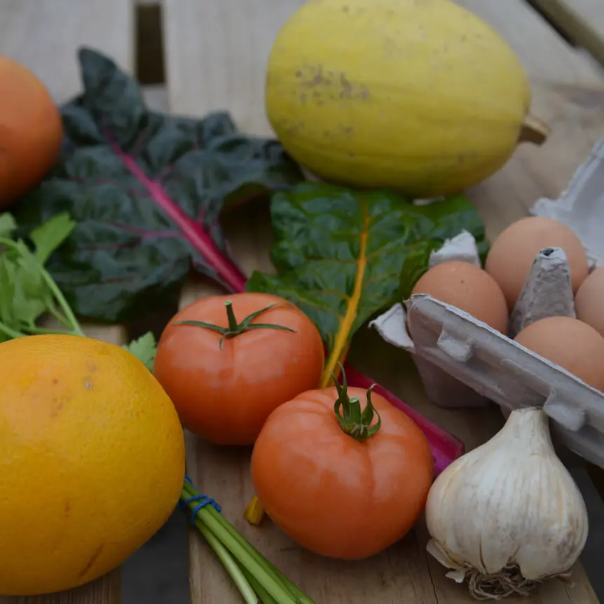 Fresh Ingredients