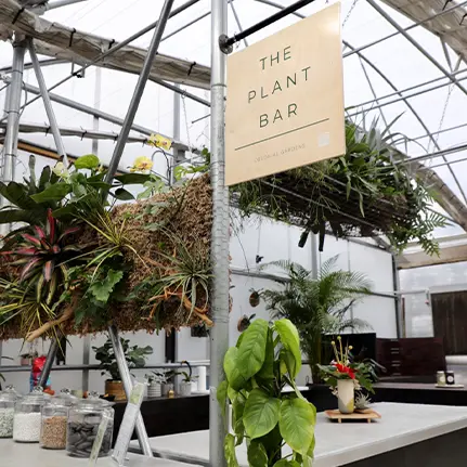 The Plant Bar