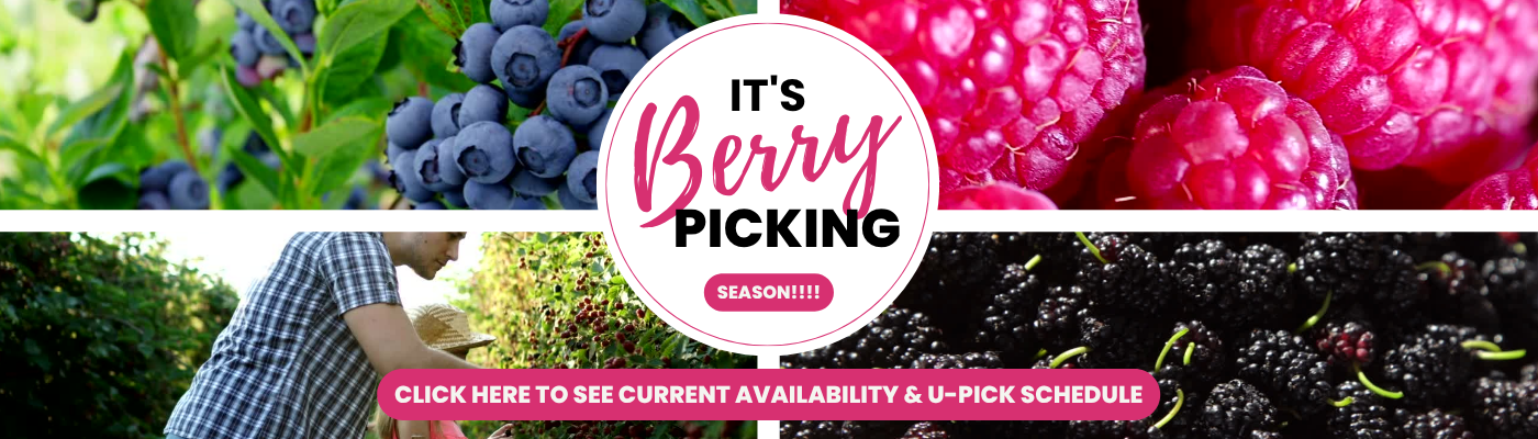 Copy of Berry Picking FB Ad - evergreen (Website) (1)