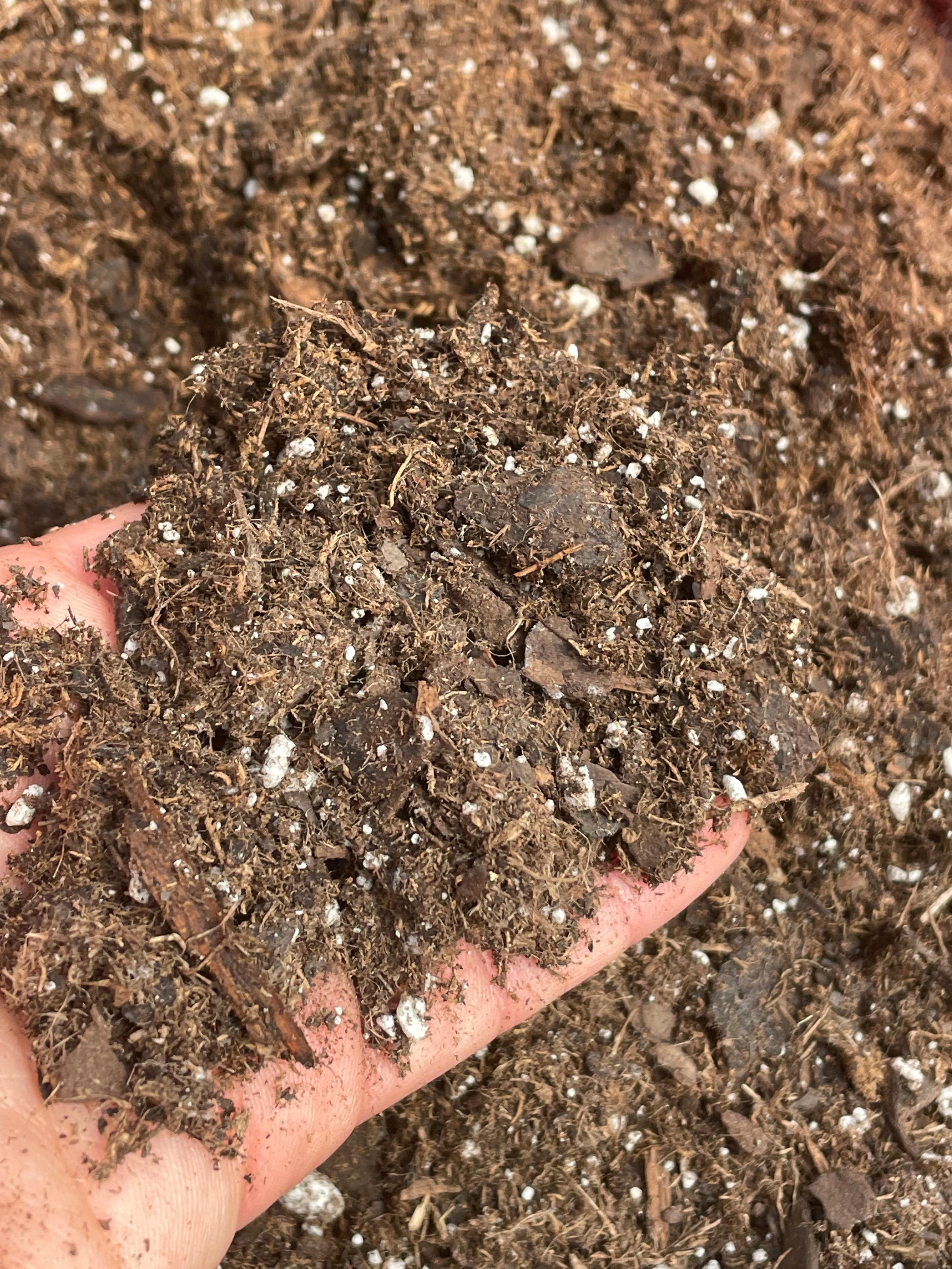 All Potting Soils Are Not Created Equal: Part 1 in the Soil Series