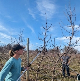 Screenshot_26-1-2026_17371_www.colonialgardenskc.com Screenshot_26-1-2026_17371_www.colonialgardenskc.com