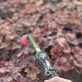 Screenshot_26-1-2026_174141_www.colonialgardenskc.com