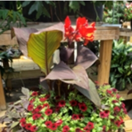 Screenshot_26-1-2026_192629_www.colonialgardenskc.com Screenshot_26-1-2026_192629_www.colonialgardenskc.com