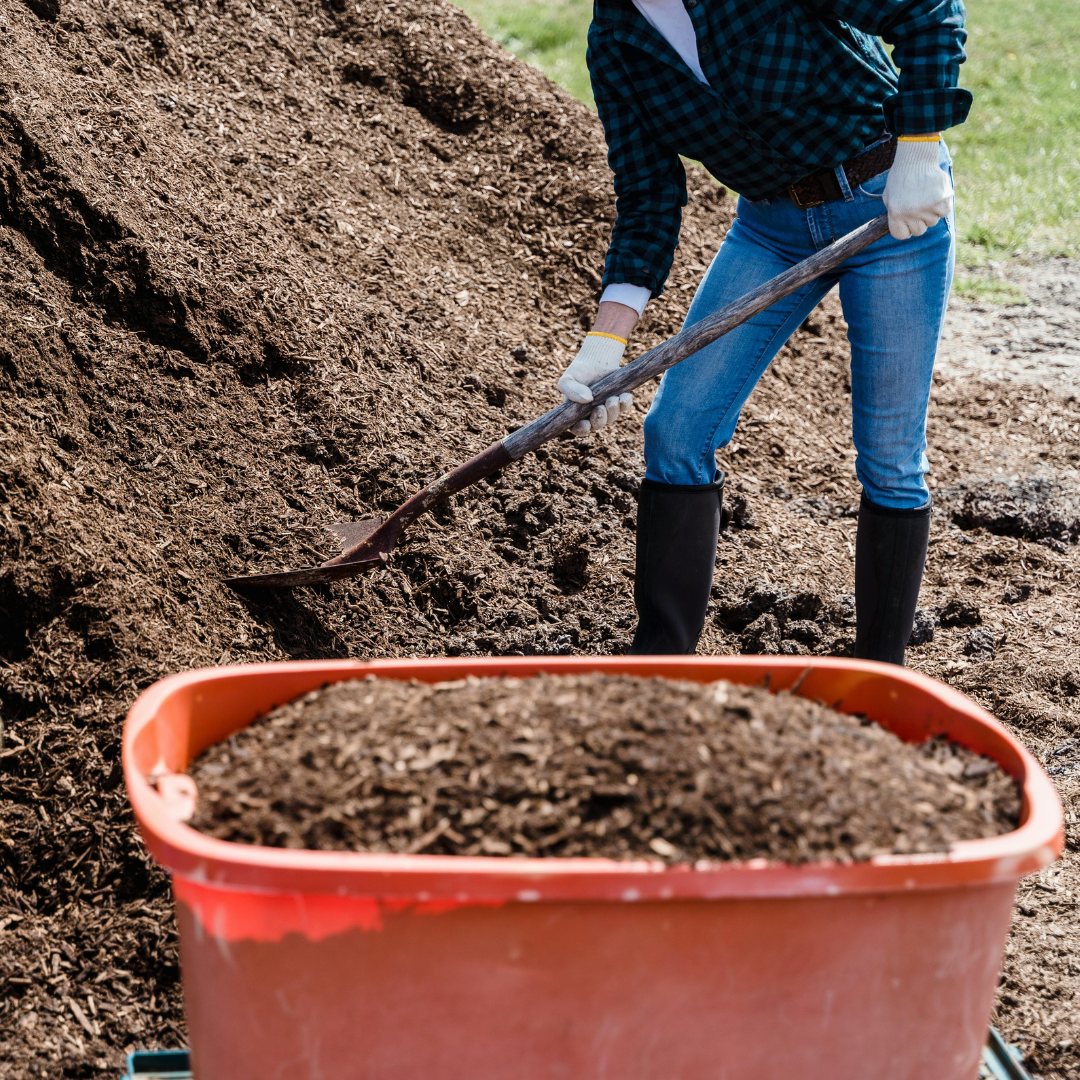 Mulching Myths & Best Practices for Summer Gardens