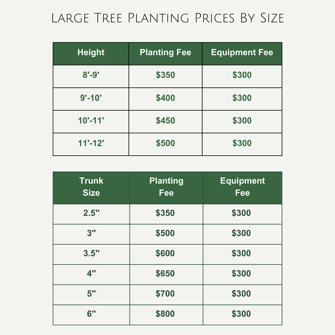 Tree Planting Prices By Size (2)