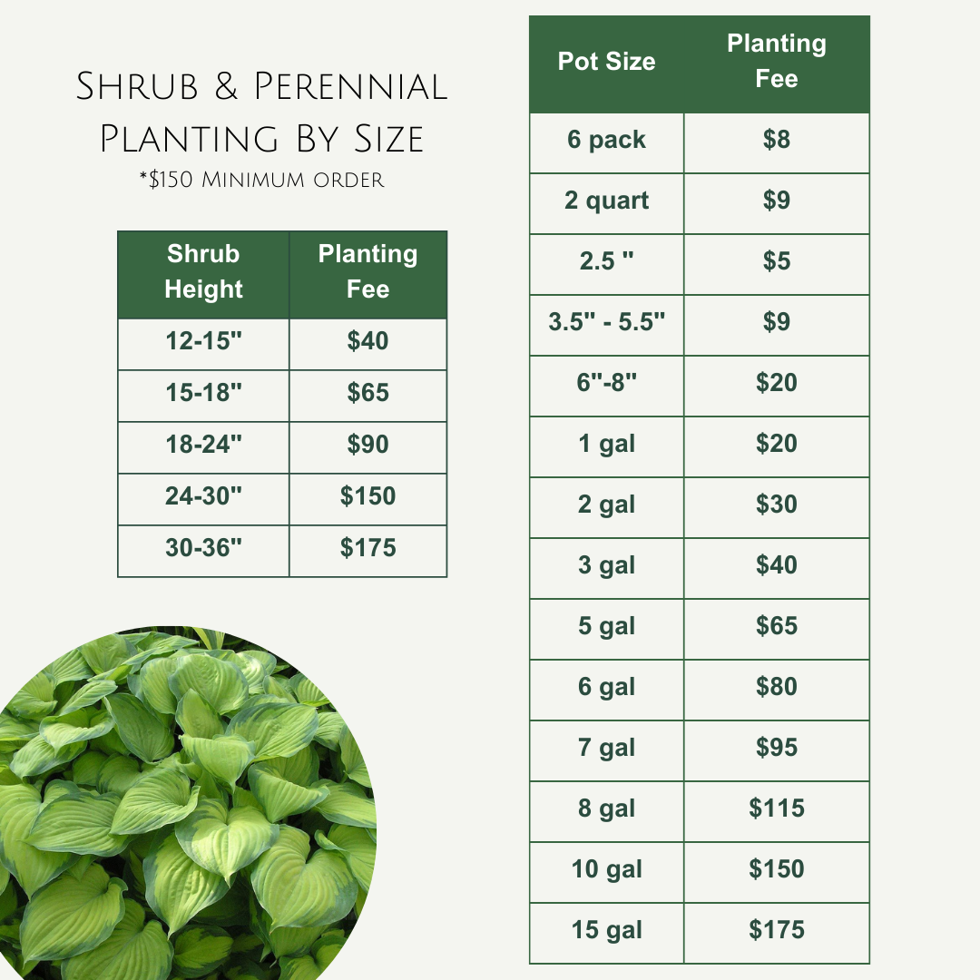 Tree Planting Prices By Size (3)