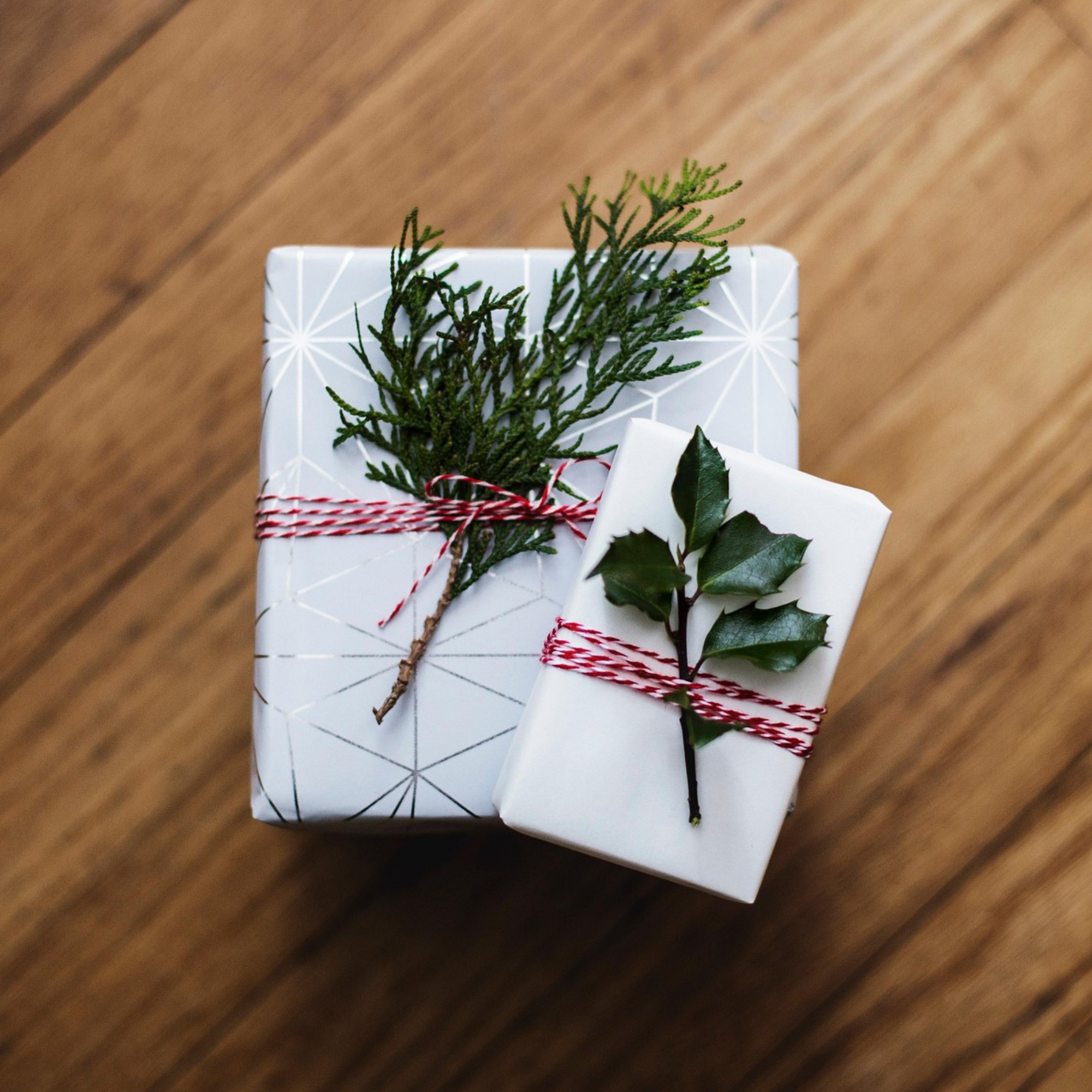 Holiday Gift Guide: Plants, Tools & Garden Experiences