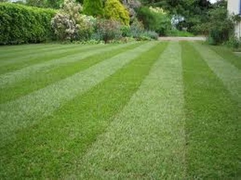 Spring Lawn Care