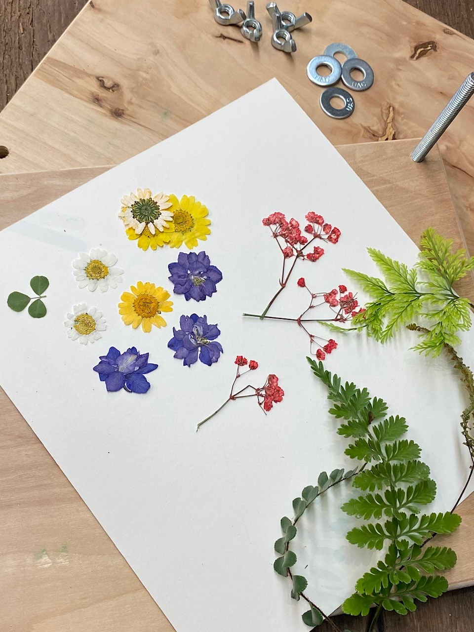 Pressing Fresh Flowers