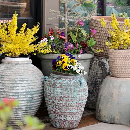 Outdoor Pots