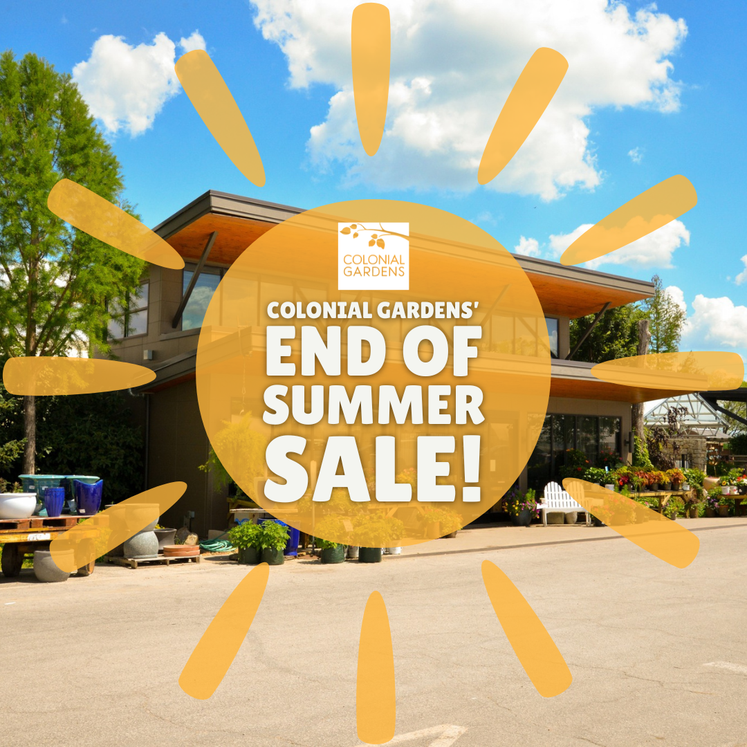 tent sale (1)-1