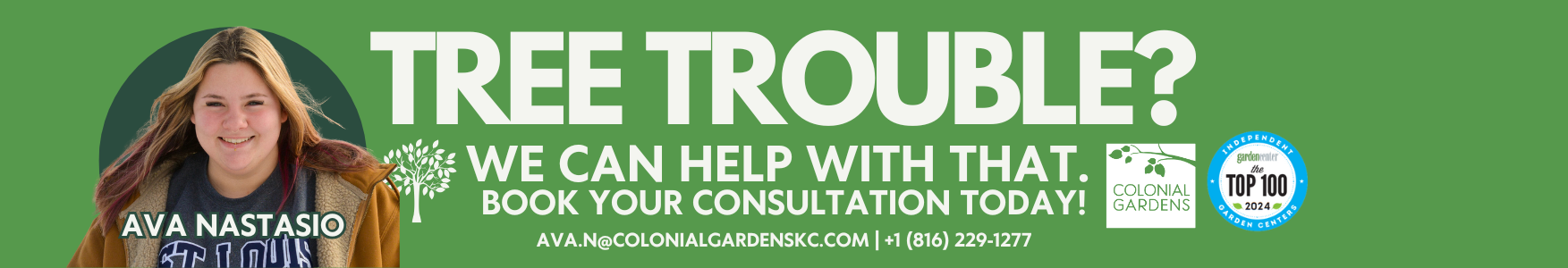tree consultation ava