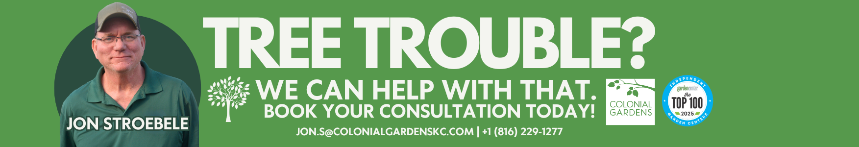 tree consultation jon-1