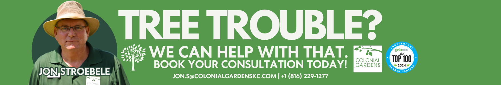 tree consultation jon